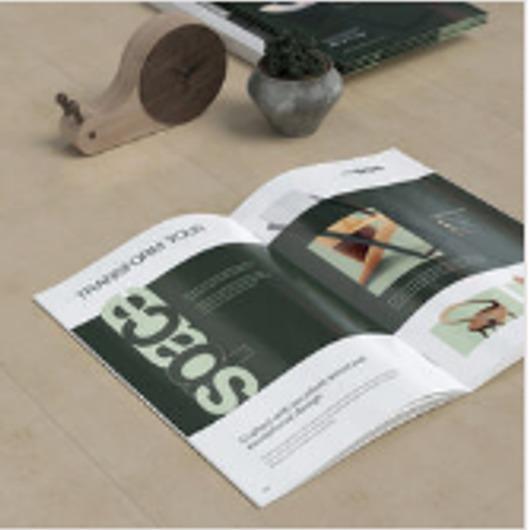 Magazines