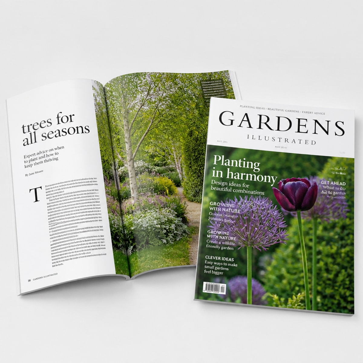 Magazines